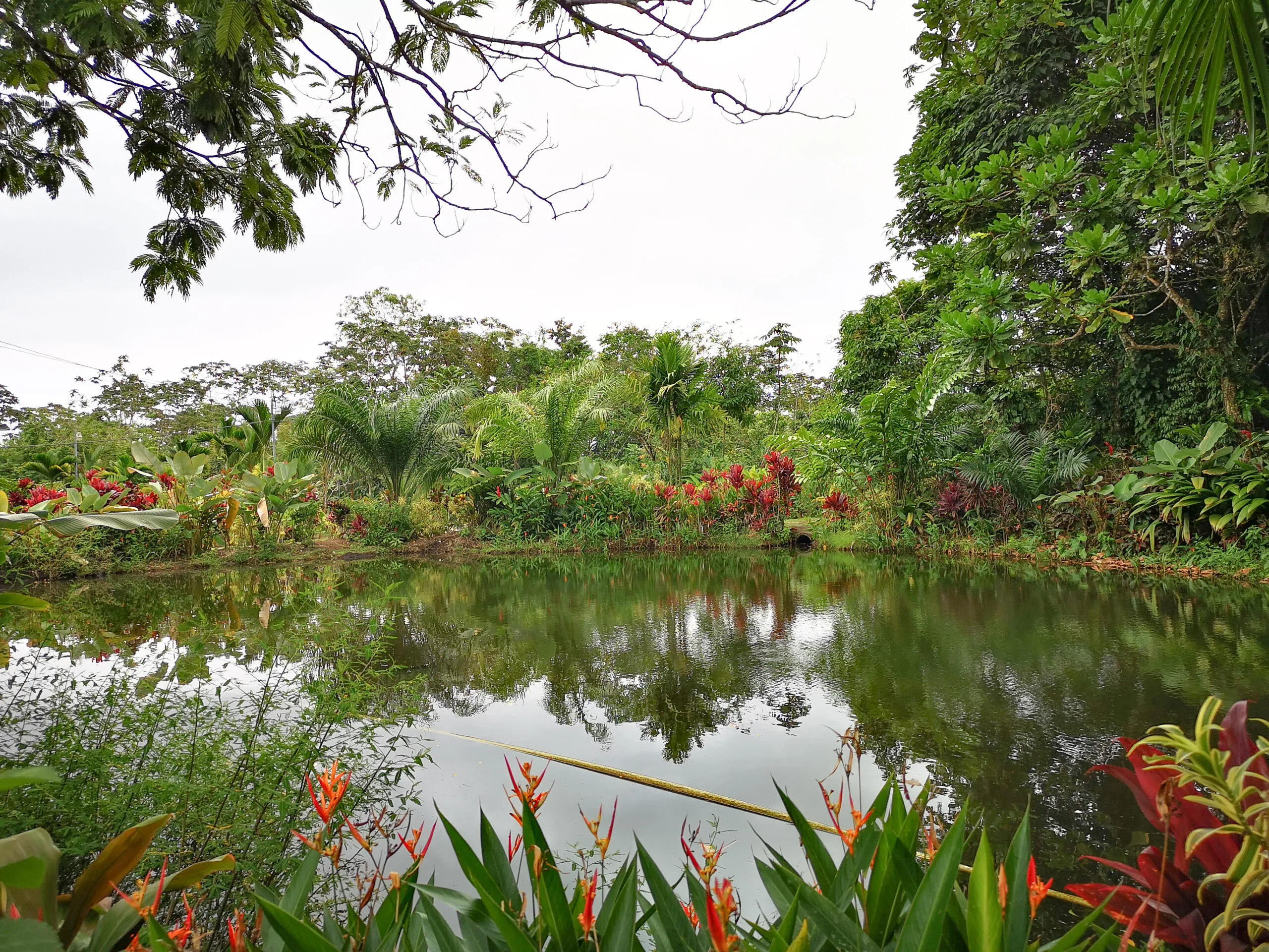 Horseback Riding Arenal