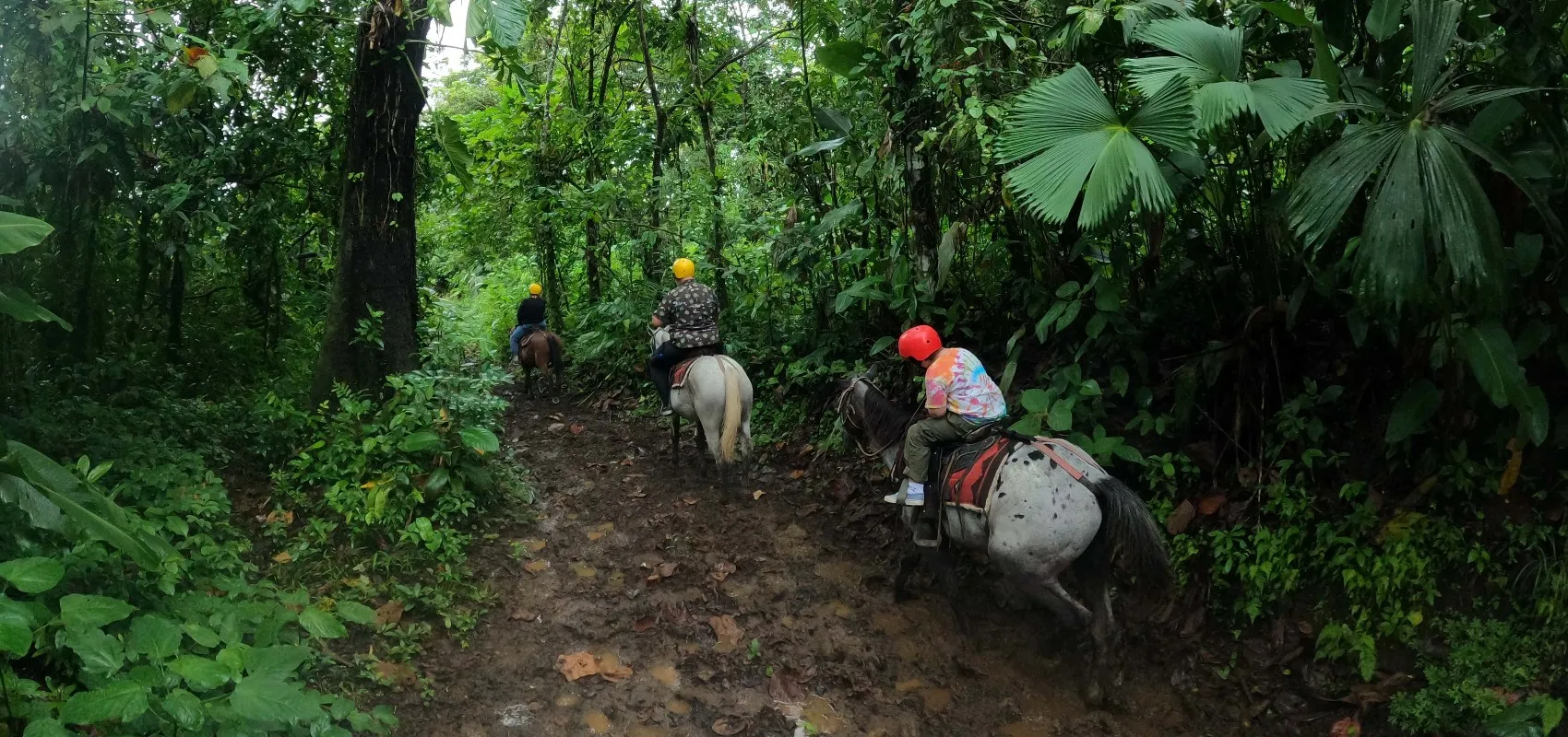 Horseback Riding Arenal
