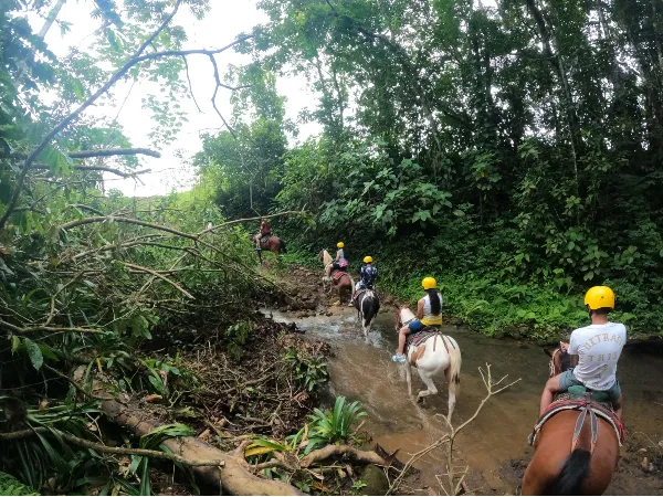 Horseback Riding Arenal