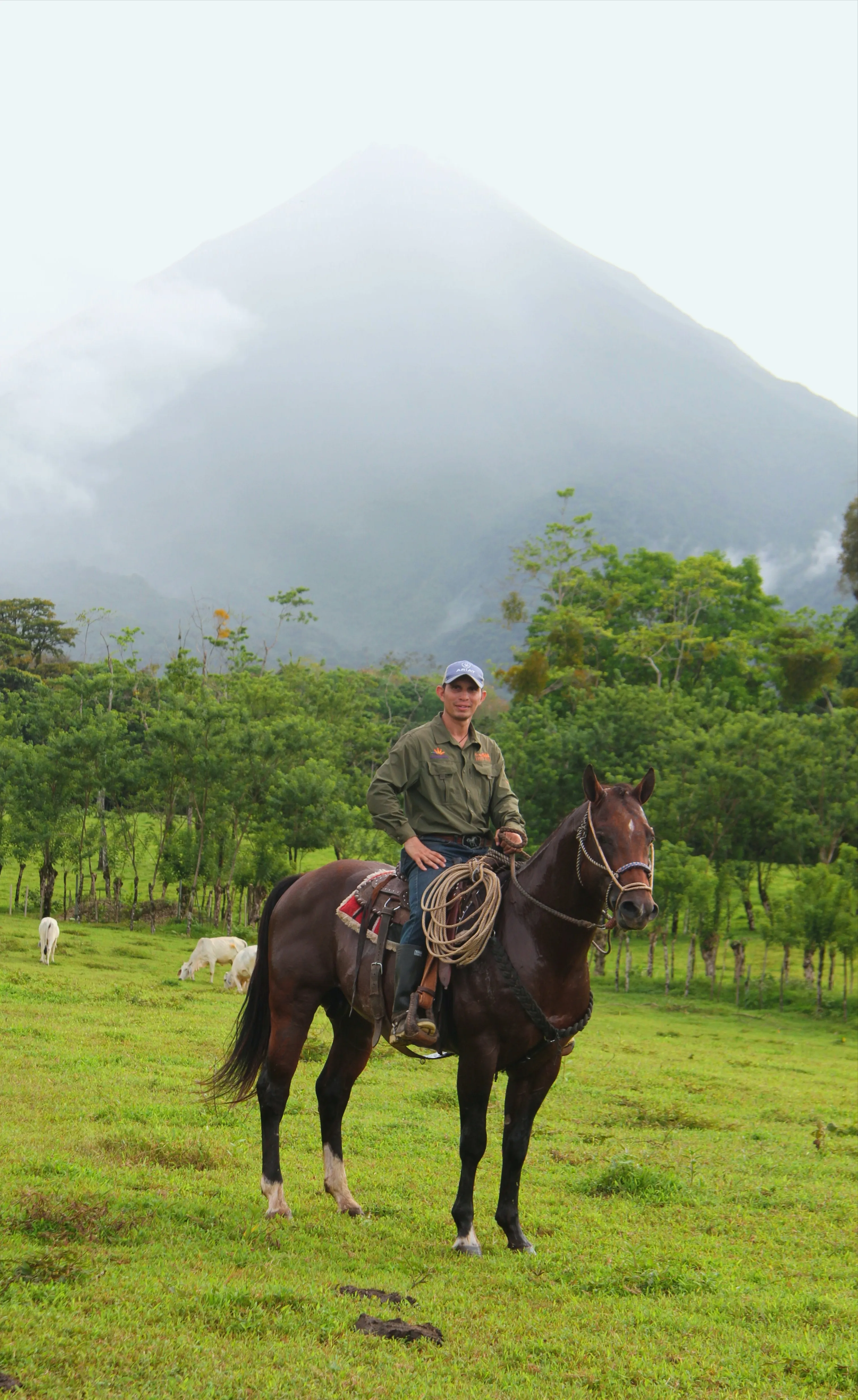 Horseback Riding Arenal
