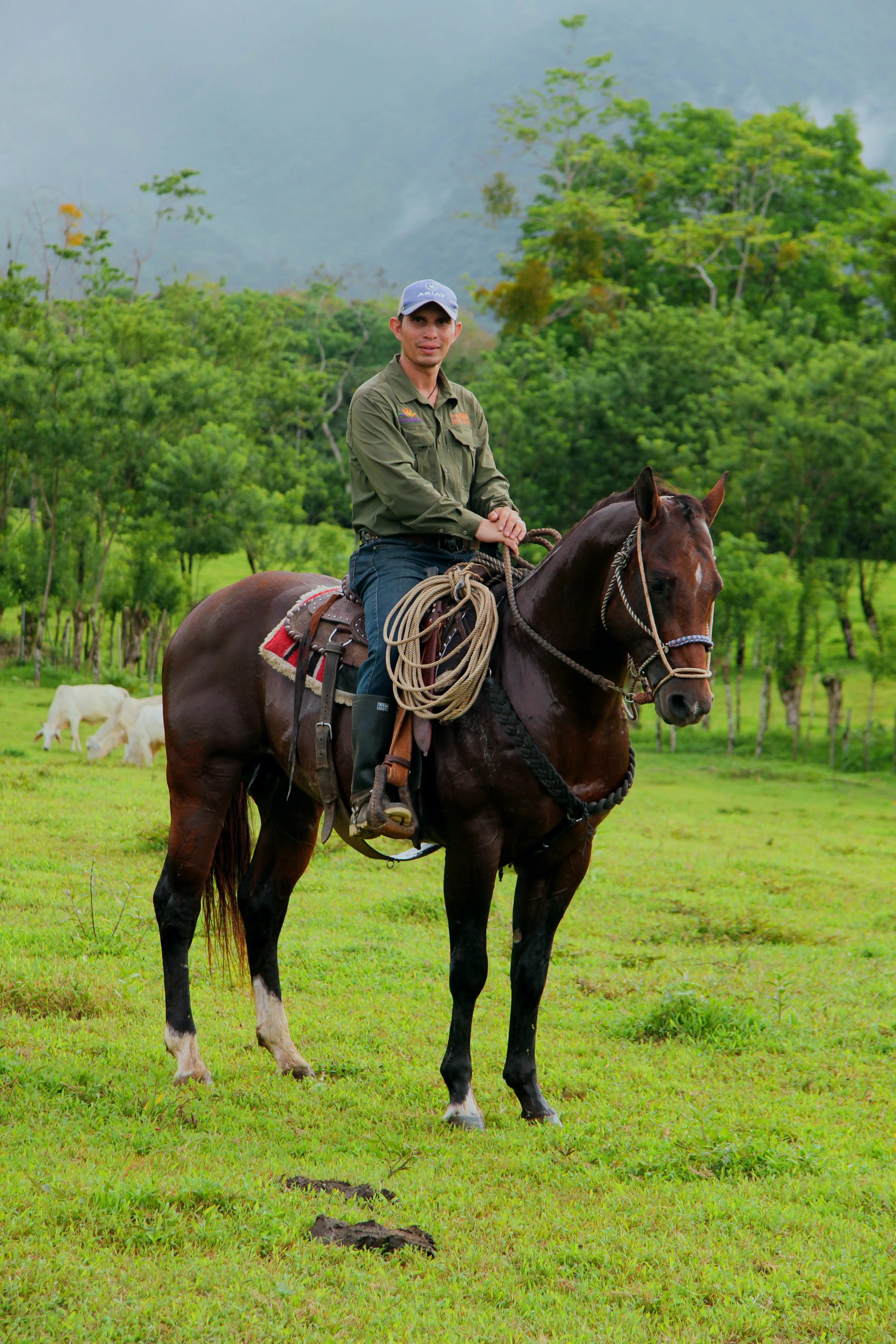 Horseback Riding Arenal