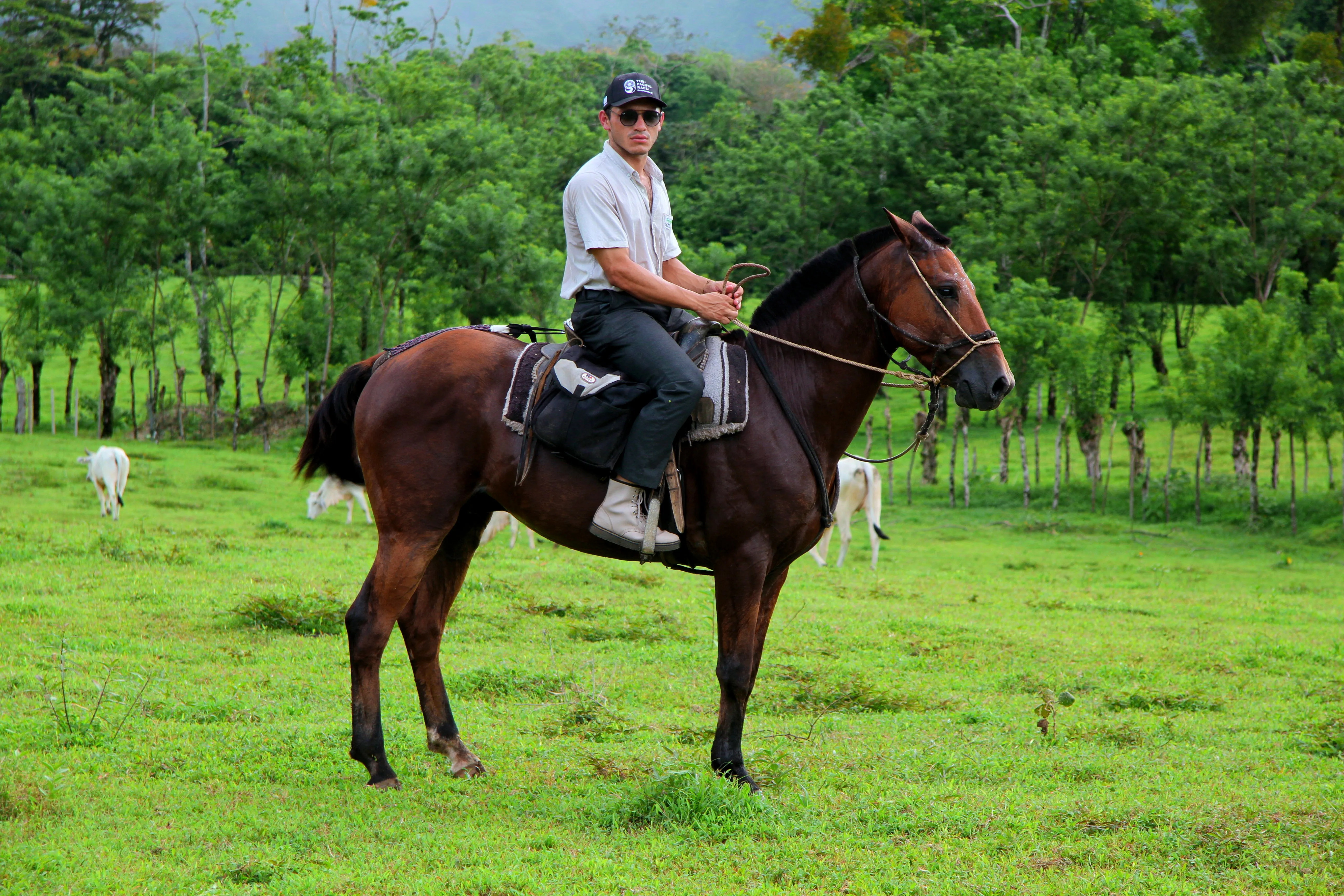 Horseback Riding Arenal