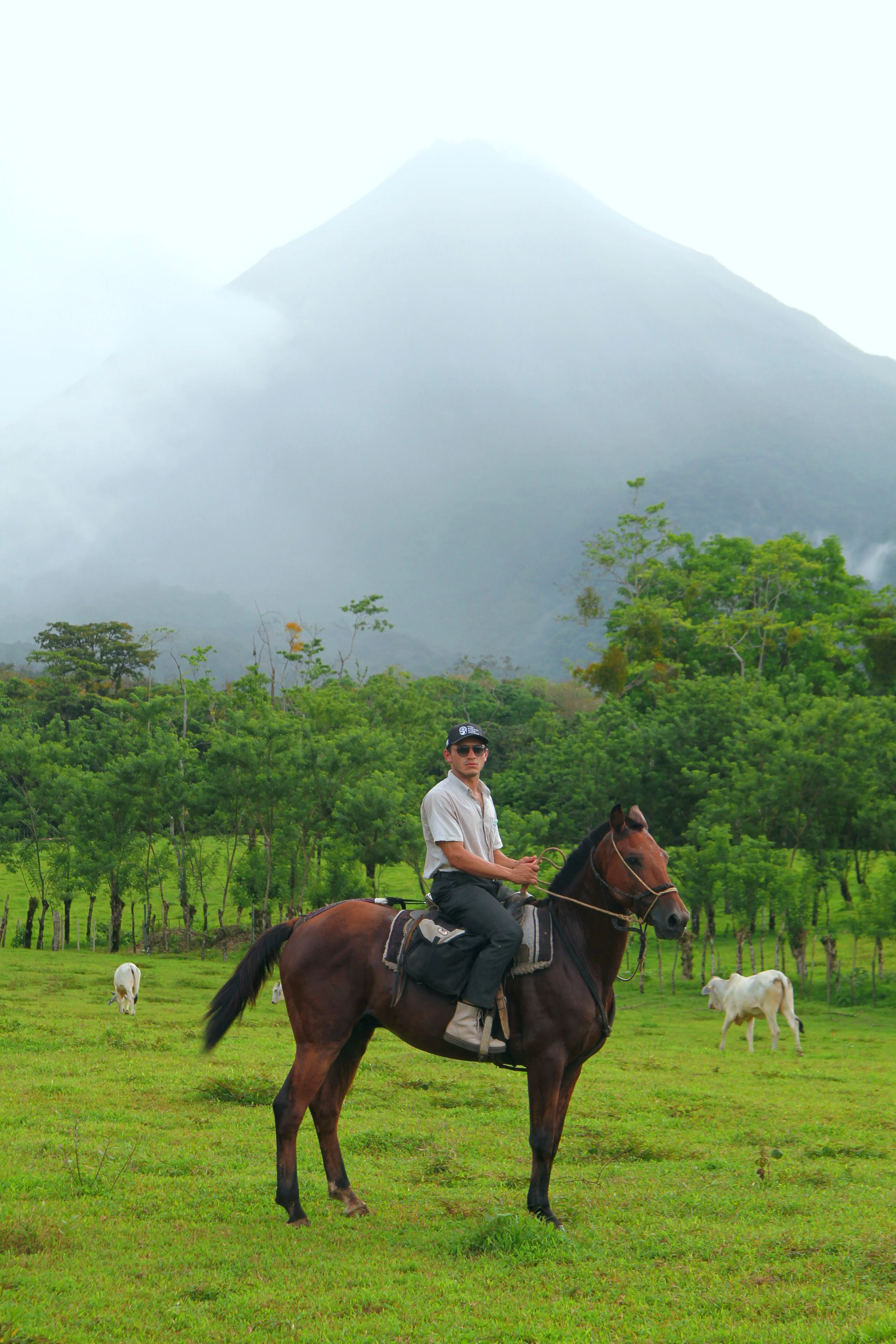 Horseback Riding Arenal