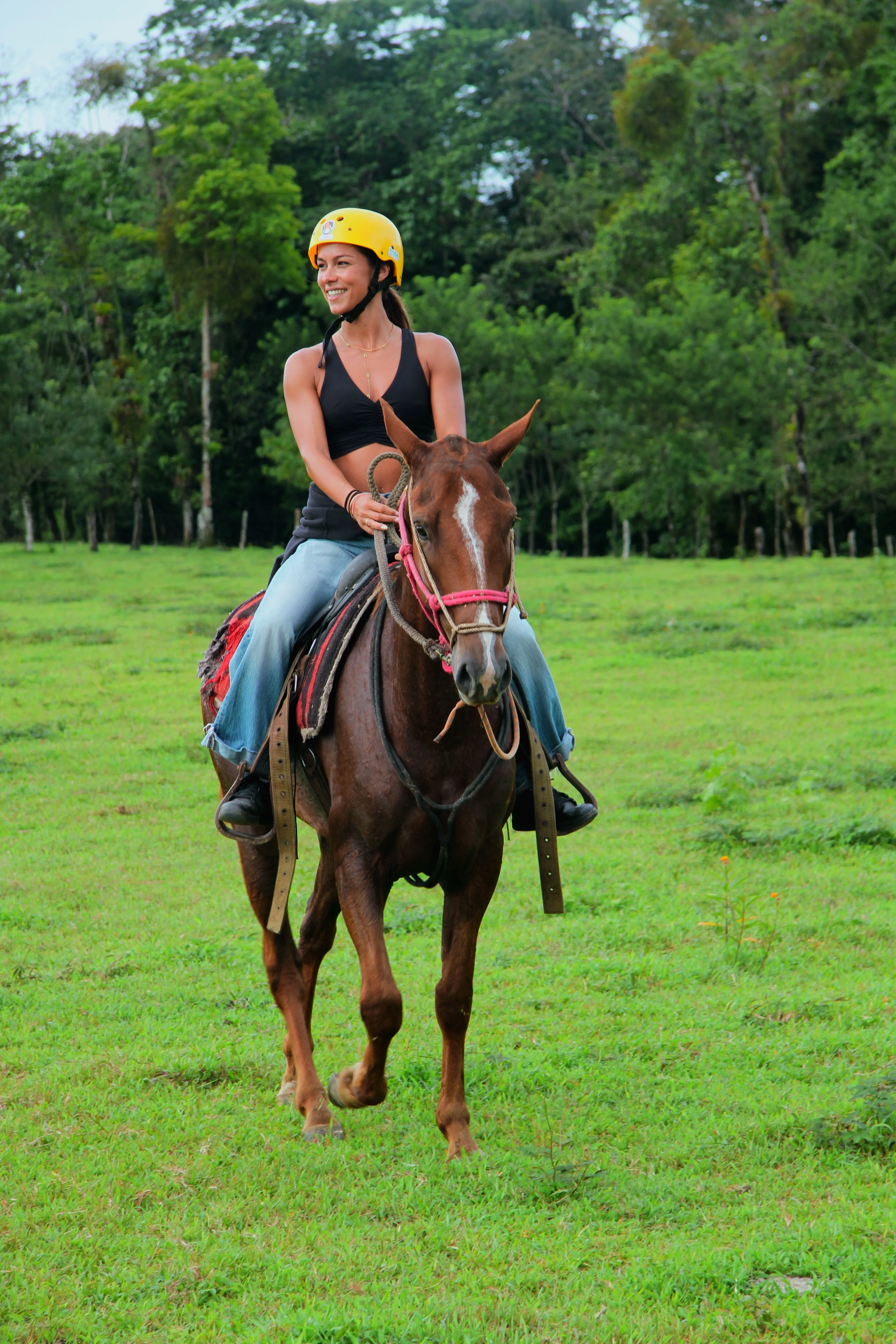 Horseback Riding Arenal