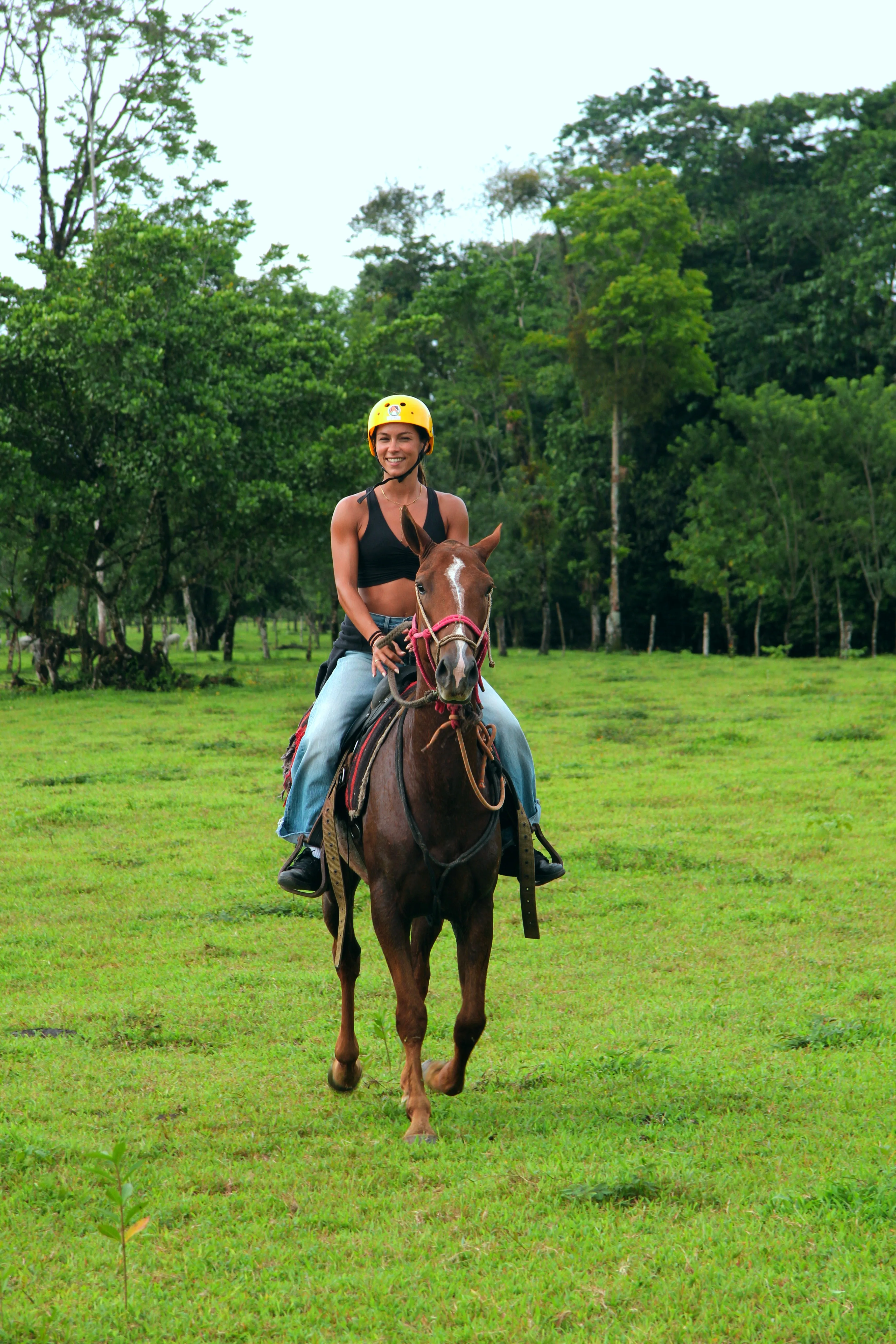 Horseback Riding Arenal