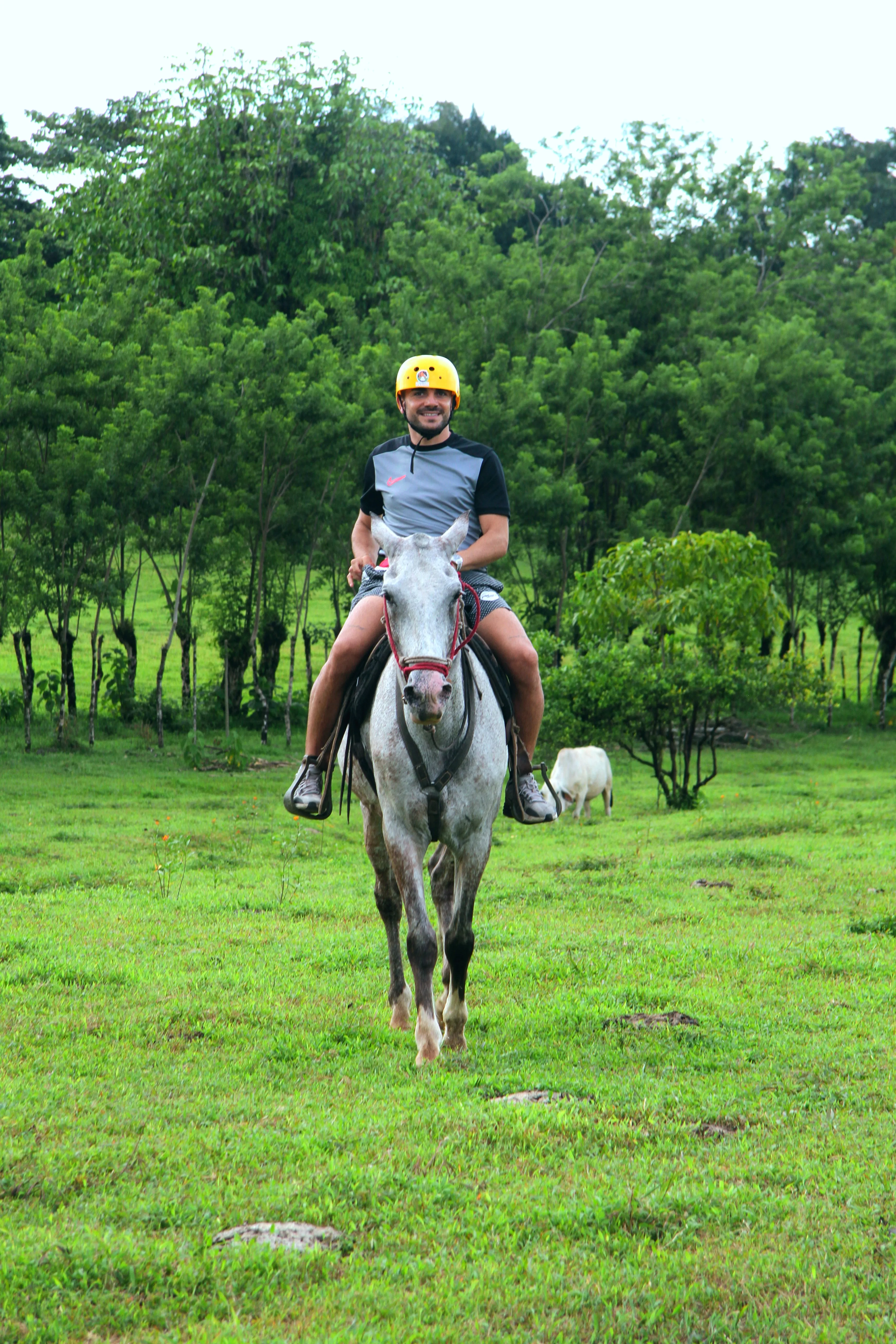 Horseback Riding Arenal