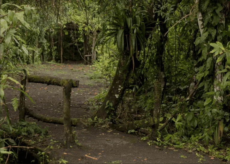 Bogarin Trail